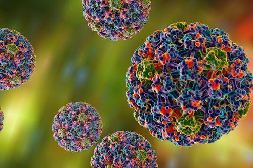Gyakori kérdések a HPV elleni védőoltásról 
