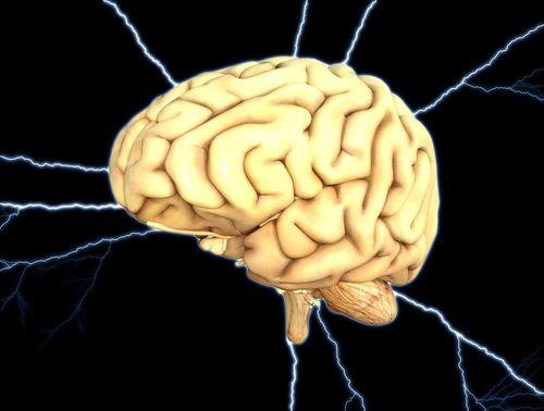 Mit tudunk az emberi agyról?